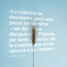 10 de abril - Plaza