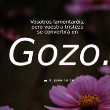19 de abril - Plaza