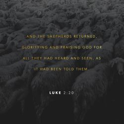 Luke 2:20