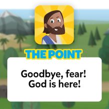 The Point