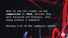 Slide 12