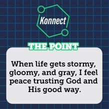 The Point