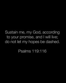 Image 05