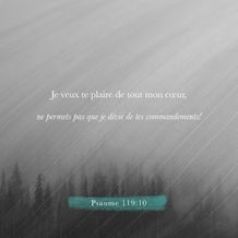 Psalm 119:10