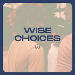 Wise Choices - Switch