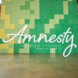 Amnesty