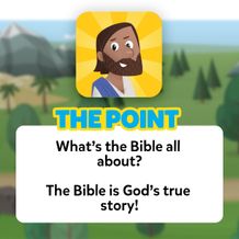 The Point