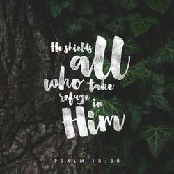 Psalm 18:30