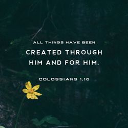 Colossians 1:16