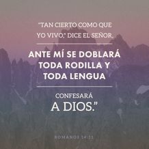 Romans 14:11