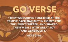 Go Verse