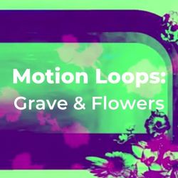 Motion Loops: Grave and Flowers
