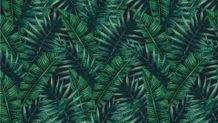 Texture - 01