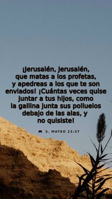 14 de abril - Vertical