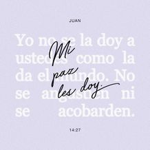 November 06 - Square - Spanish