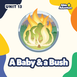 A Baby and a Bush - 2 Year Cycle tests