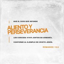 November 25 - Square - Spanish
