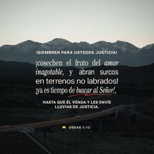 16 de enero - Plaza