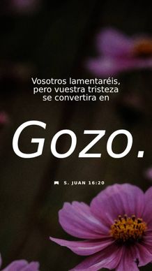 19 de abril - Vertical