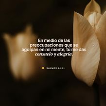September 02 - Square - Spanish
