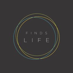 "Finds Life" Shirt Art