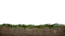 Photo 5 - Point Background