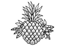 Pineapple Image