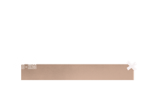 L3 Primary
