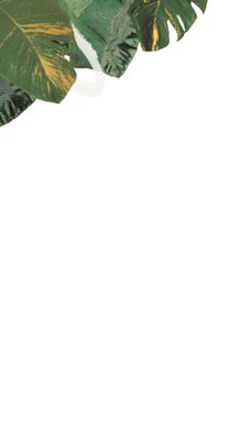 Overlay - 5