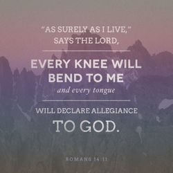 Romans 14:11