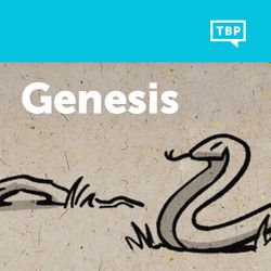 Read Scripture: Genesis