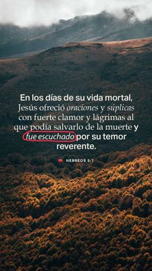 18 de junio - Vertical