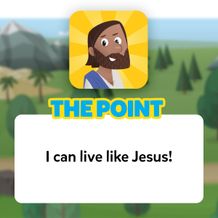 The Point