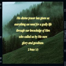 Instagram Square Quote 2