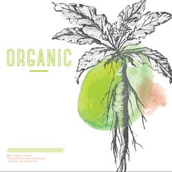 Organic - YTH