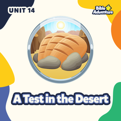 A Test In The Desert - Unit 14