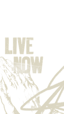 Live Now (3)