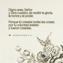 27 de febrero - Plaza