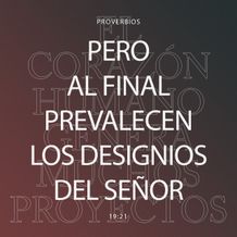 22 de enero - Plaza
