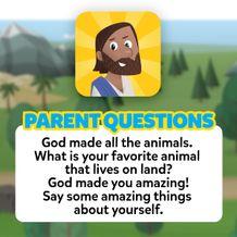 Parent Questions