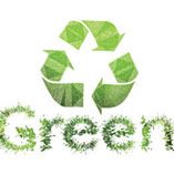Green - Switch