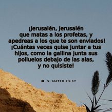 14 de abril - Plaza
