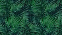 Texture Screens