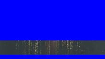 Blue Screen