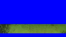 Blue Screen 1