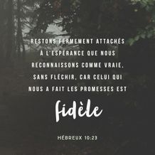 Hebrews 10:23