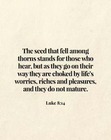 Image 06