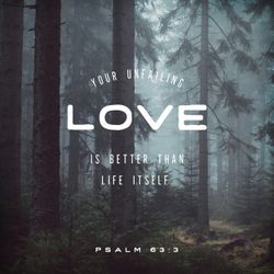 Psalm 63:3