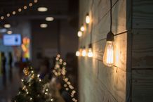 Edison Bulbs
