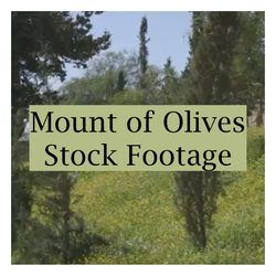 Mount of Olives Stock Footage